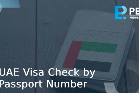 status of the visa by passport number