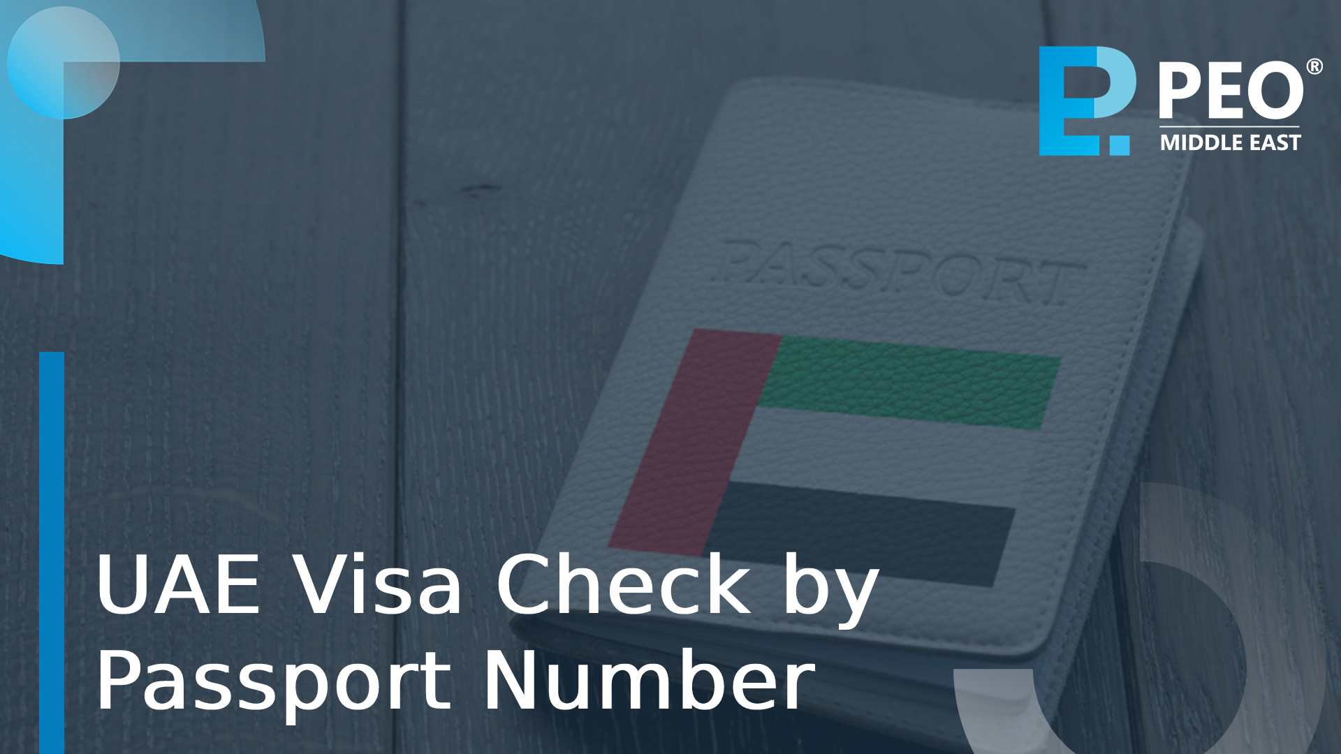 status of the visa by passport number