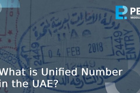 unified number UAE