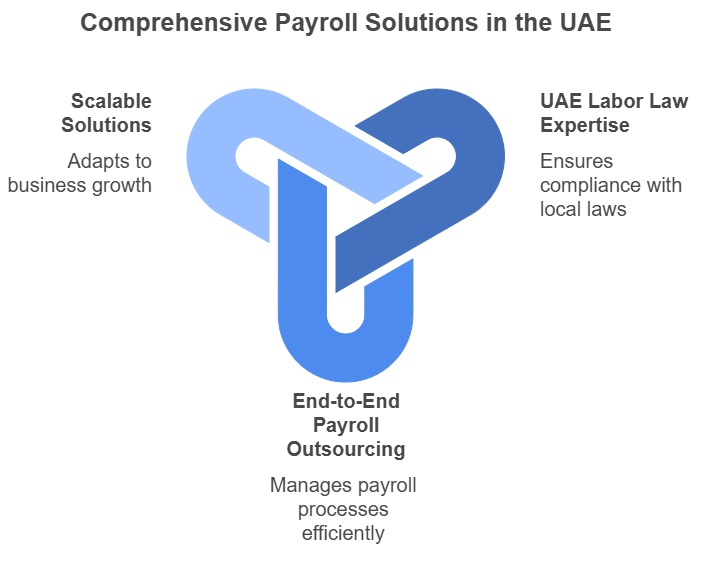 Comprehensive Payroll Solutions in the UAE