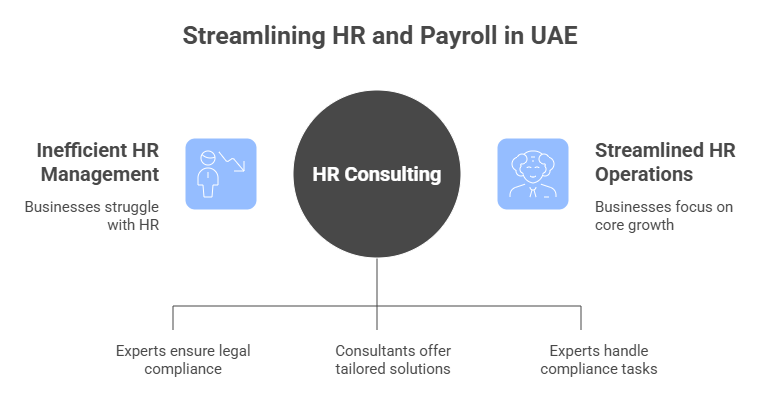 HR and Payroll Consulting